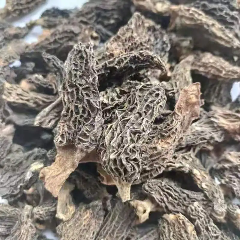 Morel mushroom and dry morchella in fungus  shipped directly from the factory