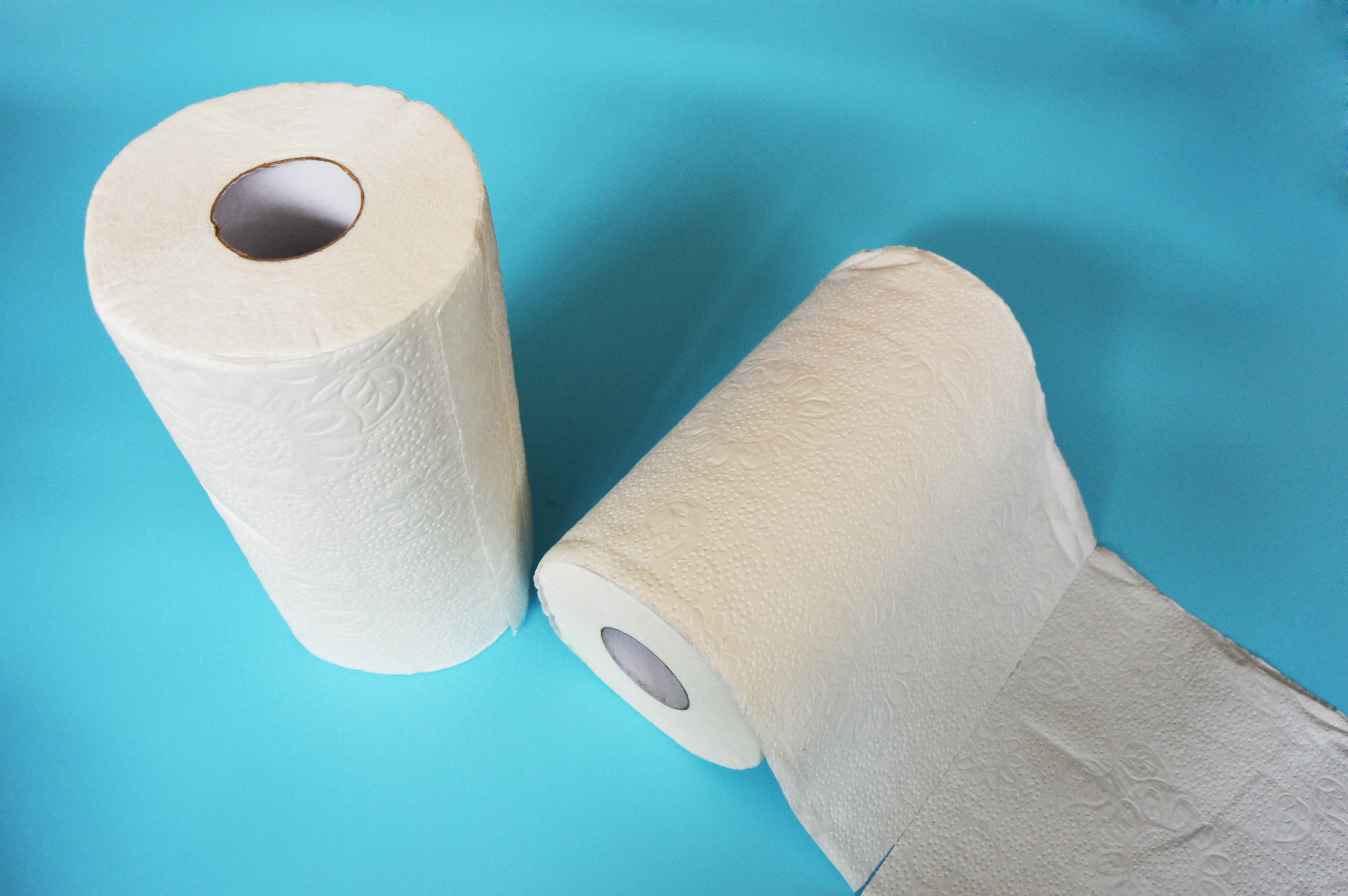 Big Roll Kitchen Paper Sheet Towel for and Hotel Virgin Wood Pulp Embossed