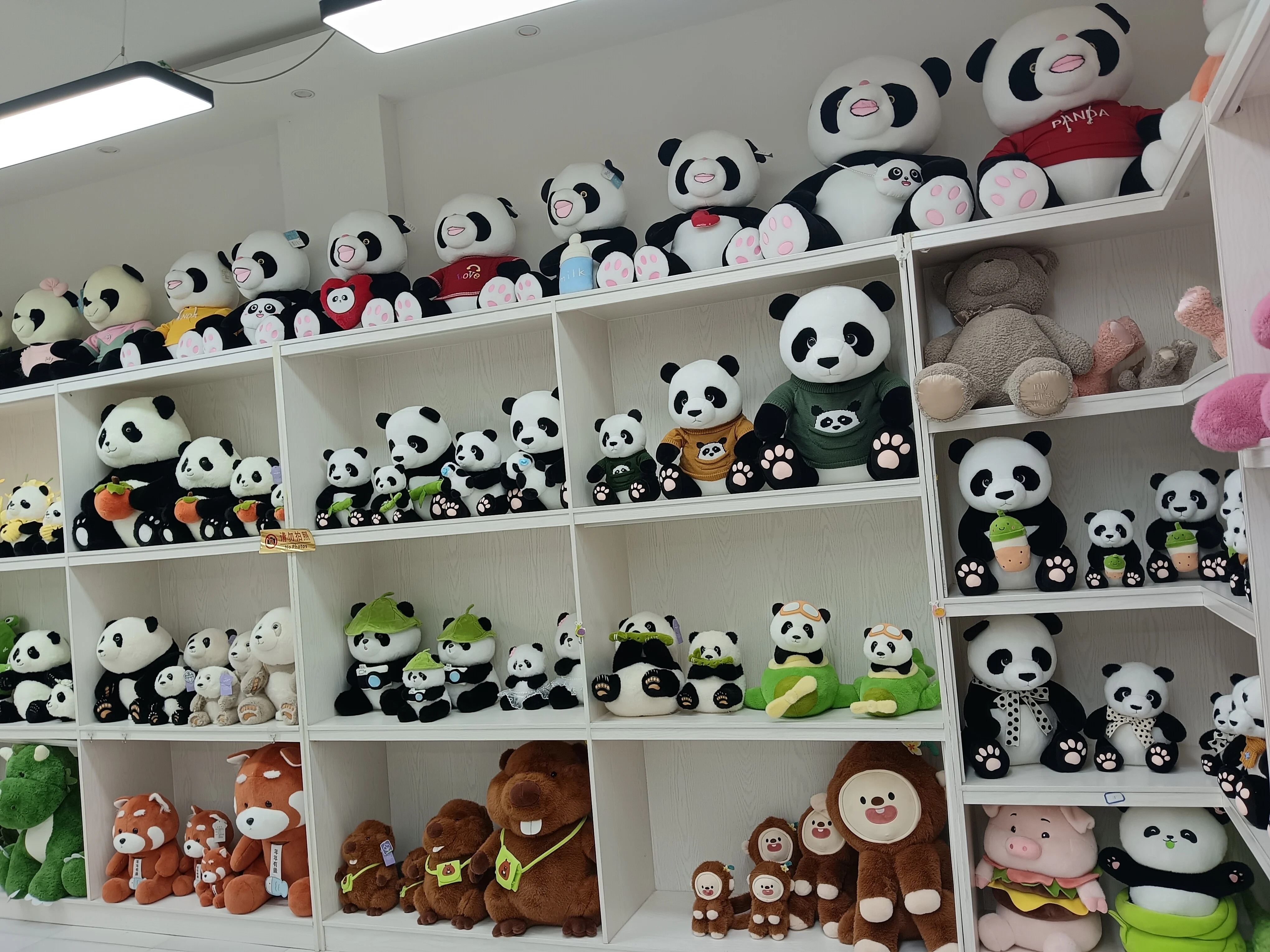Custom Made 5cm 20cm 40cm Plush Idol Doll Custom anime figure Plush Doll Stuffed Toys Plush Korea Kpop Star Doll Plush Toy