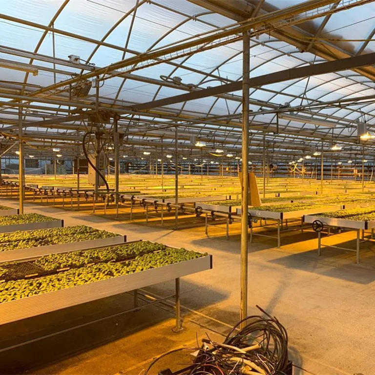 Food Grade ABS Panels Indoor Hydroponics System Ebb And Flow Table Rolling Bench