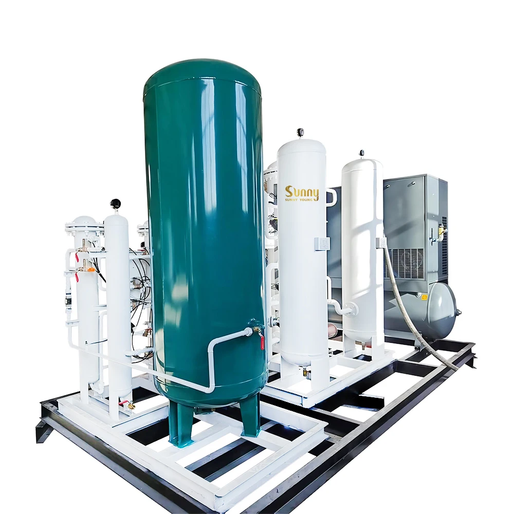 New 1Nm3/hr-100Nm3/hr PSA Oxygen Gas Plant with Pump Motor and PLC Core Components for Manufacturing Farming Hotel Industries