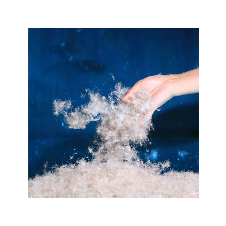 The Manufacturer Supplies 90% Washed Grey Goose Down Textile Down Filling Material