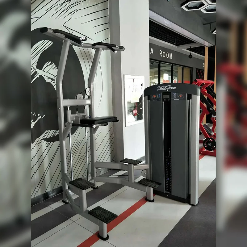 New Design Body Building Fitness Equipment Assist Dip Chin Training Equipment
