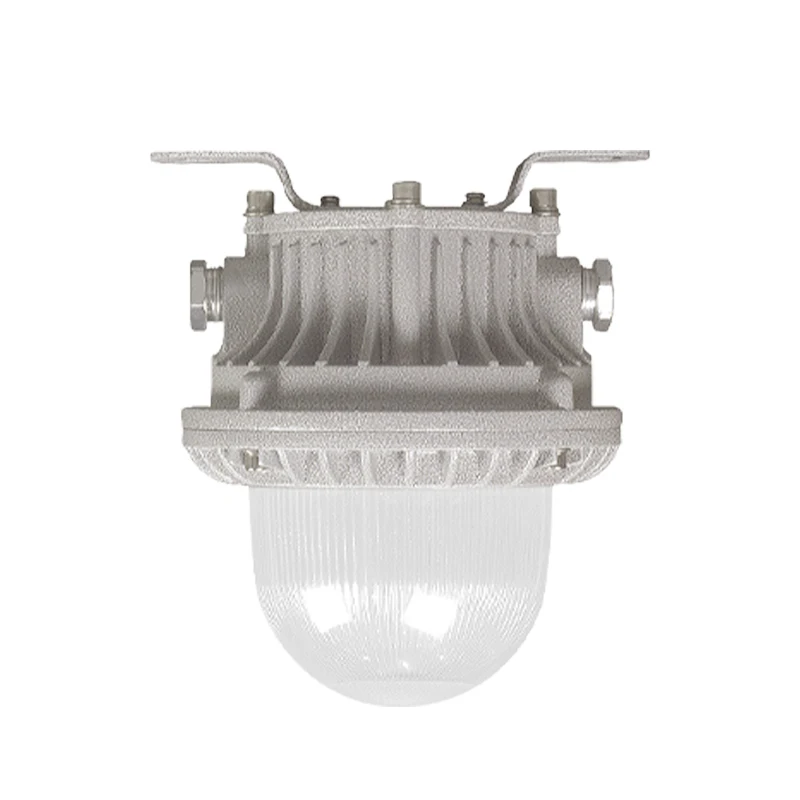 Gas station chemical plant industrial lighting explosion-proof waterproof explosion-proof lamp LED
