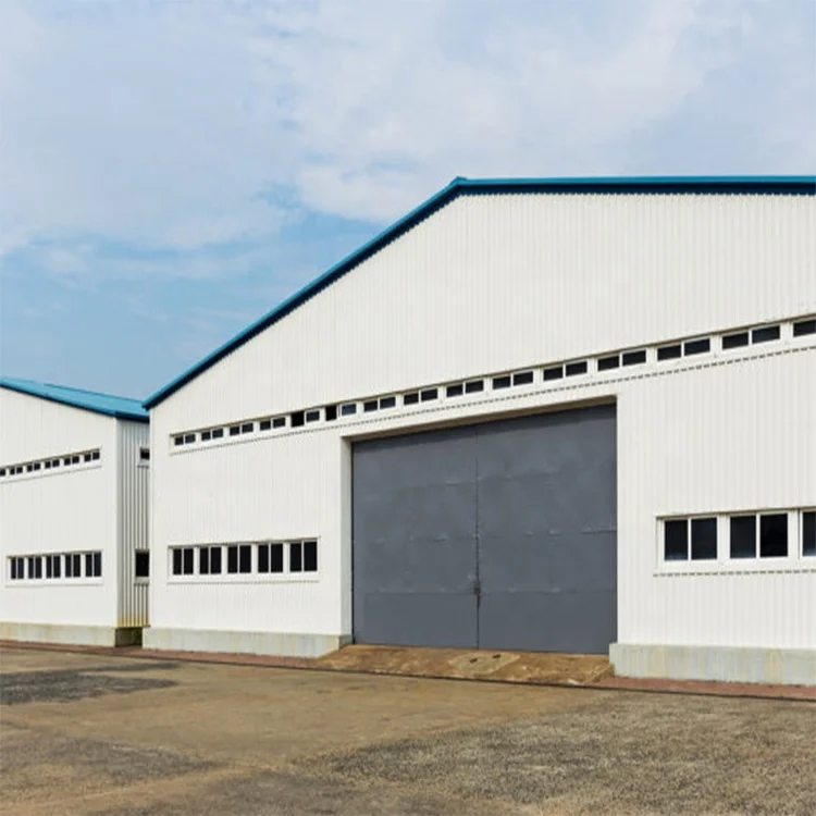 customized industrial shed light steel structure building