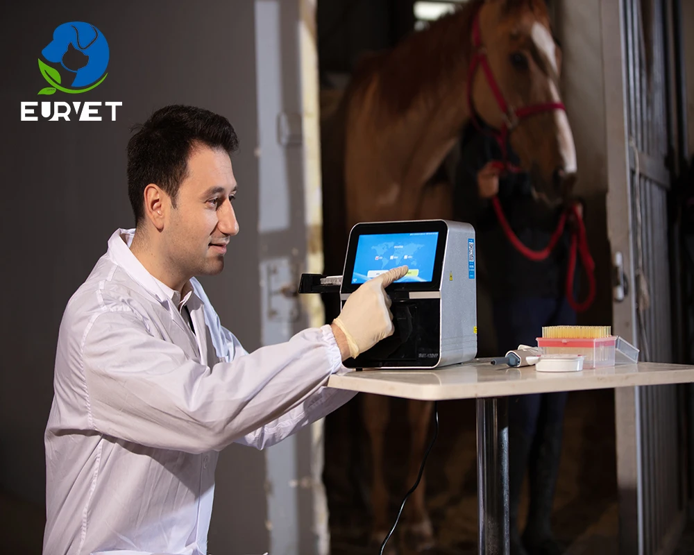 EUR VET High Quality Animal Blood Chemistry Analyzer Vet Biochemistry Machine For Veterinary Clinic Use