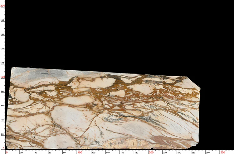 Calacatta Gold (8).jpg