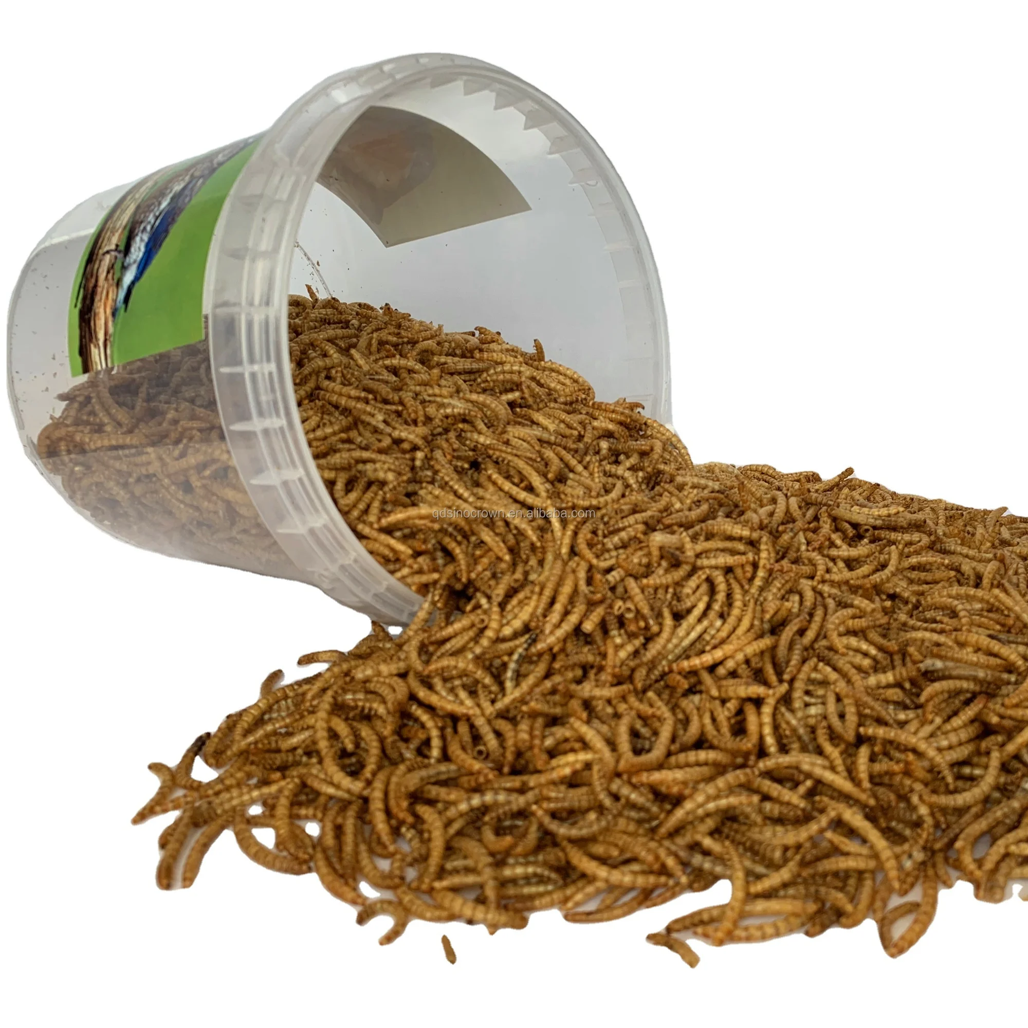 High Protein Customised Birds Food for Fishes Reptiles in Bags 100g Factory Directly Supply  mealworm superworm
