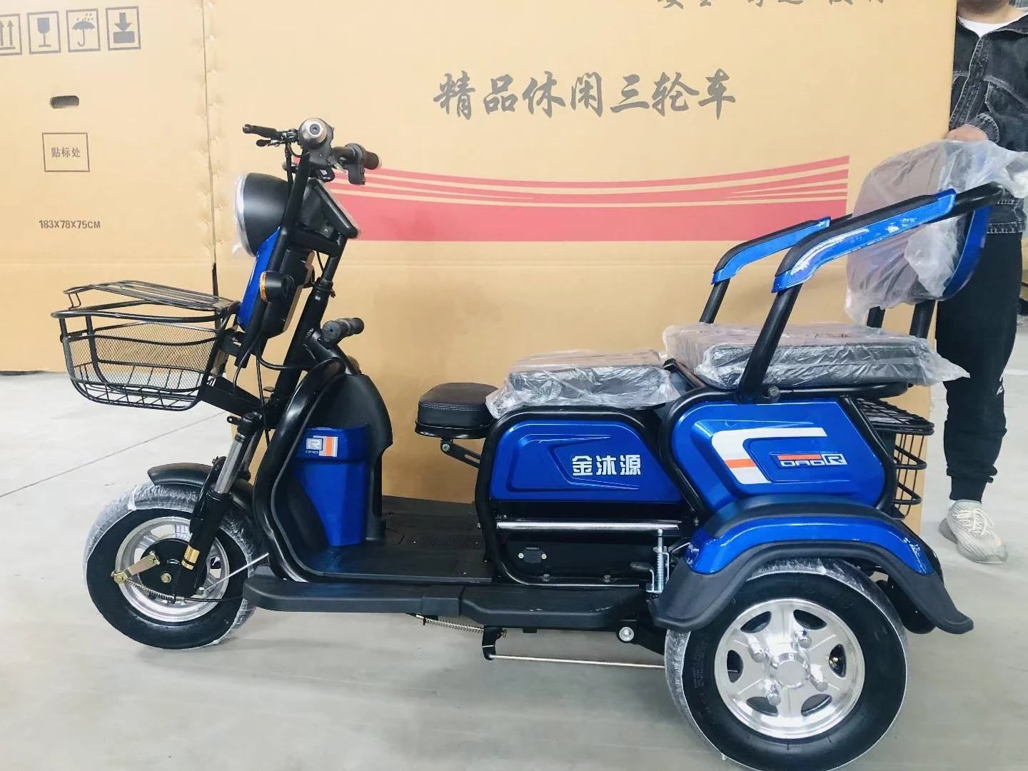 Long battery life 600W electric tricycle EEC Certificate Three Wheel Electric Tricycle for Passenger