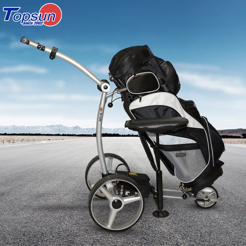 High Quality 3 Wheel Electric Golf Cart