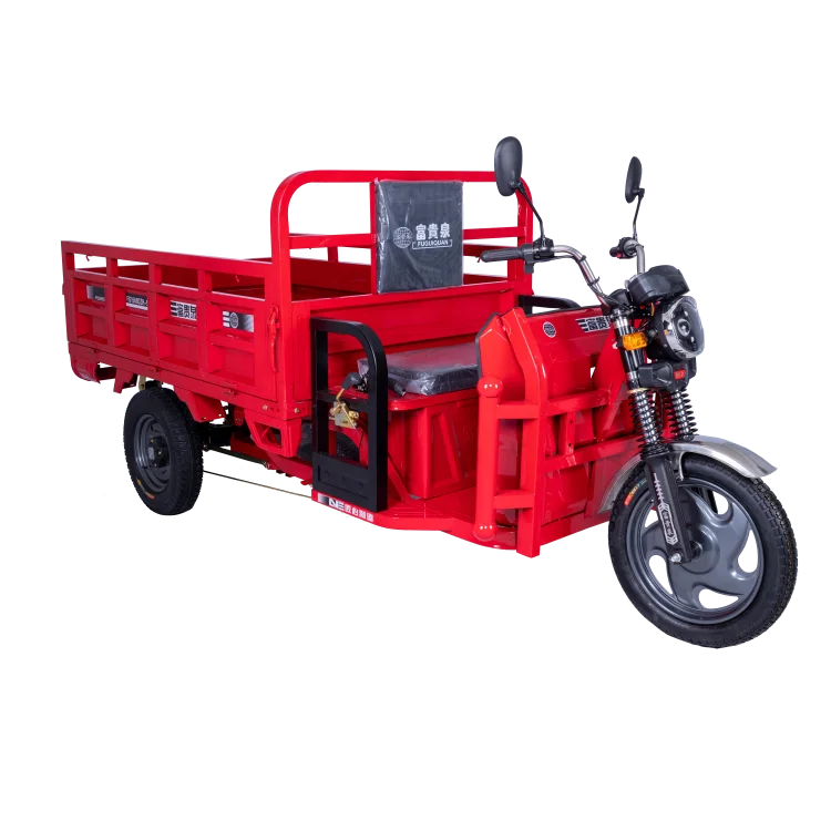 High Loding Capacity E-rickshaw Factory Direct Wholesale Tricycle 3 wheel Electric Tricycle for Adults