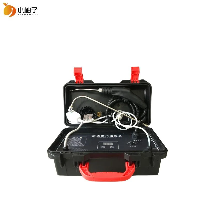 
High Power 3000W portable electric medical steam spray gun sterilizer disinfect steam 