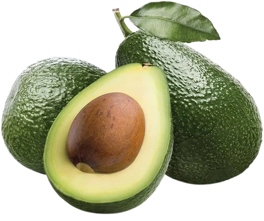 Лидер продаж-свежий авокадо высокого качества высокого стандарта для экспорта из Вьетнама