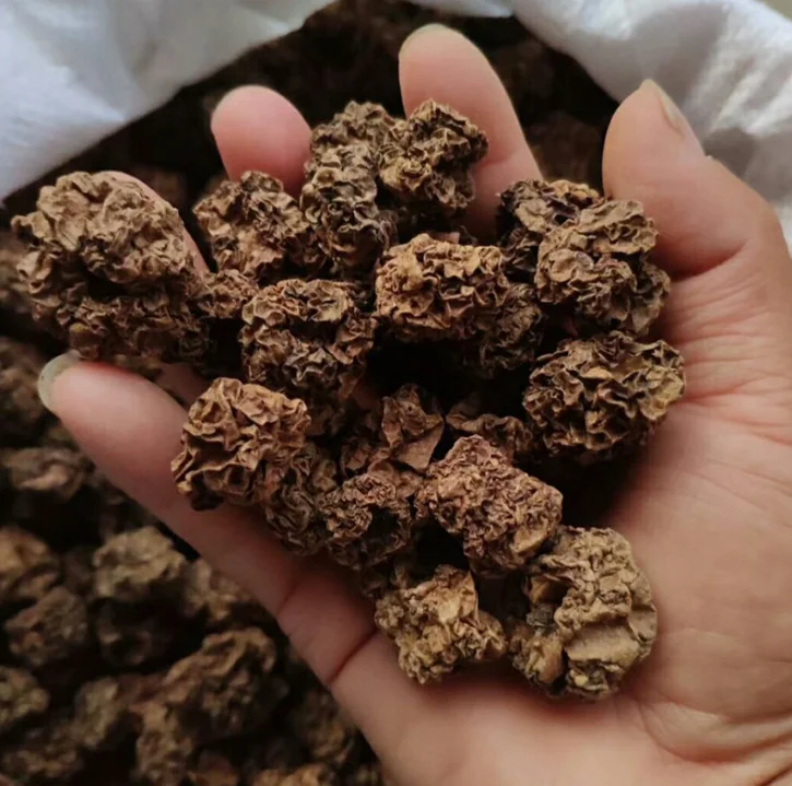 100% Органическая сушеная актинидия полигамная насекомое желчный натуральный корм для кошек с высоким содержанием белка