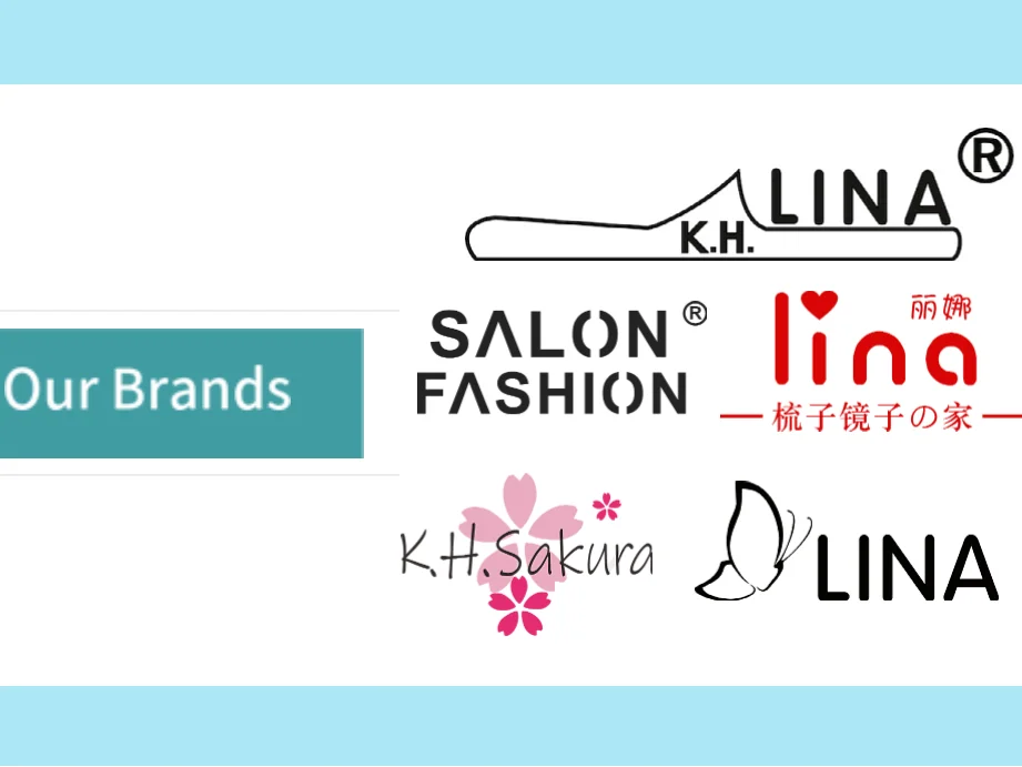 custom hair beauty plastic control comb and brush