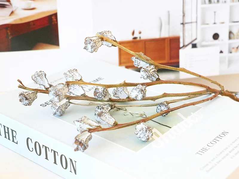 Plant Dry Eucalyptus Fruit Bouquet Wholesale Wreaths Natural Decorative Flowers Wedding Dried Eucalyptus Berry with Stem