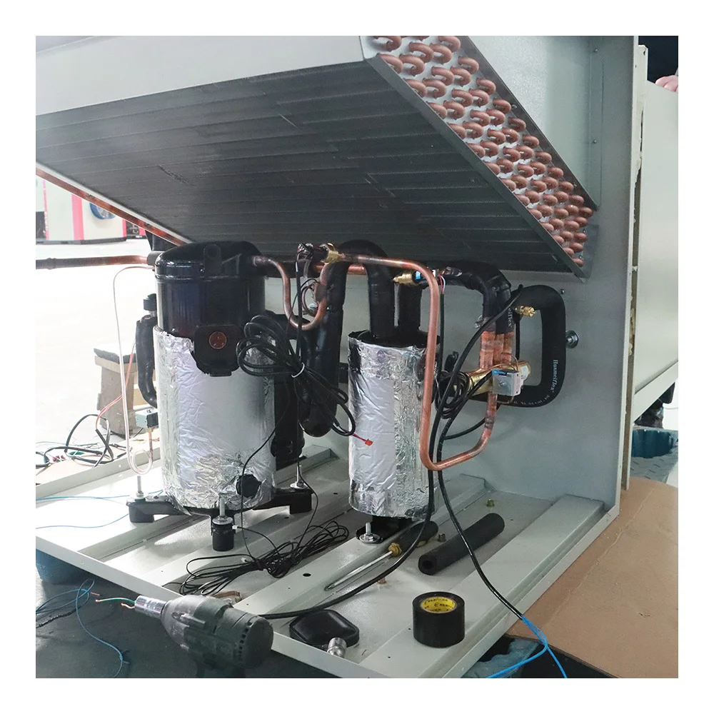 Best Selling Chiller Cold room for icecream storage wall mounting type  mono block system Brand Compressor Cold room