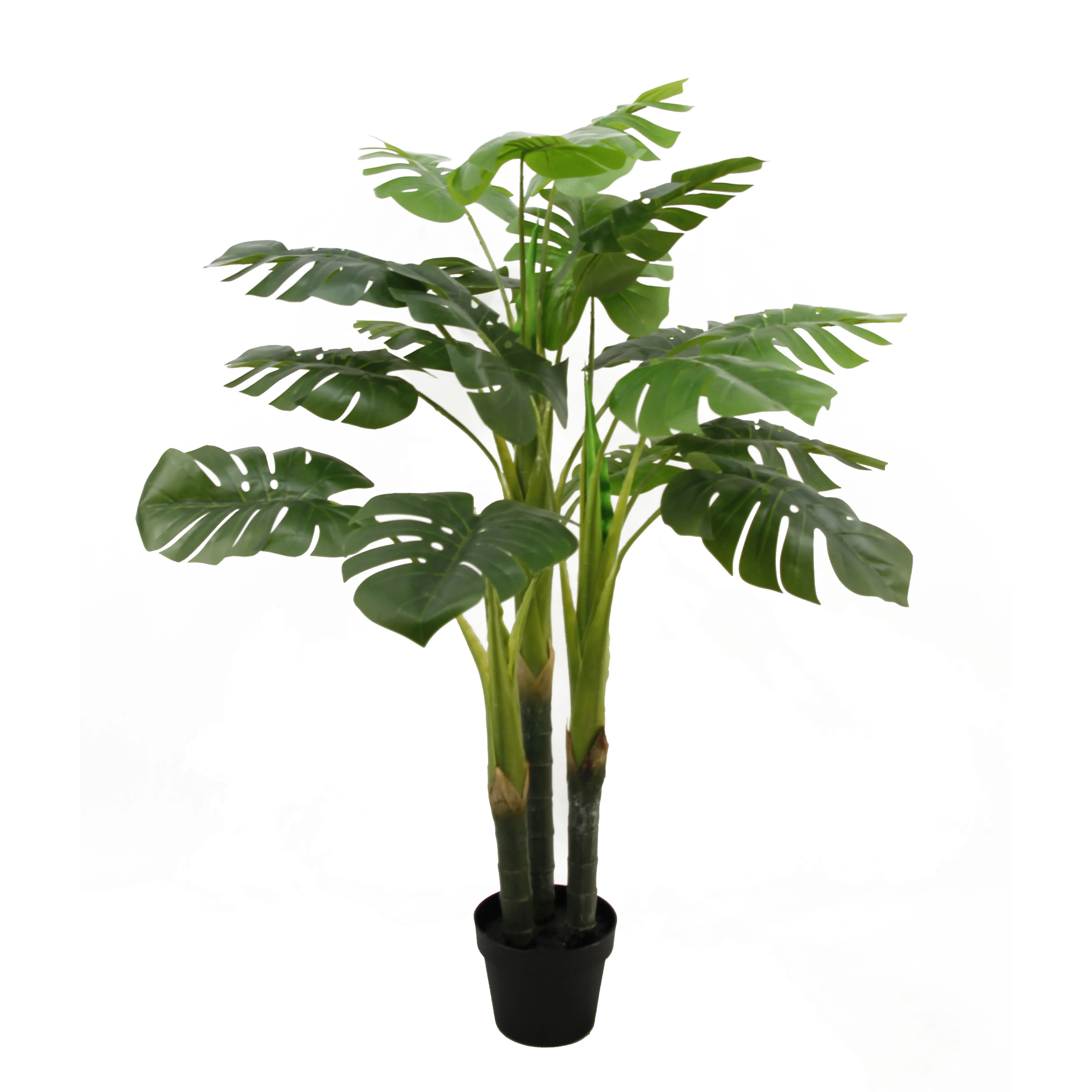 Sen Masine 120cm 2 trunk 6 leaves Turtle back monstera potted tree for outdoor indoor home garden decoration