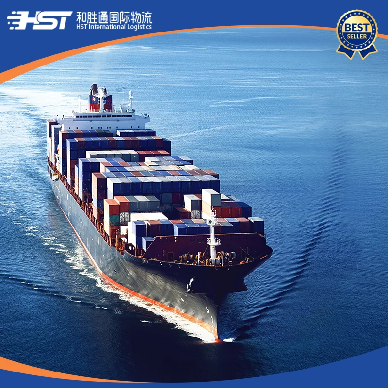 China HST Logistics Africa FCL / LCL FOB CIF Transportation Agents Traders Free Warehousing Surrogate Services Pick up