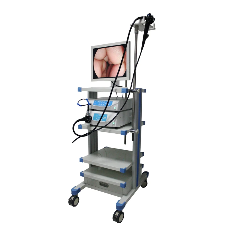 Medical Equipment Portable Endoscope with Video Fiber Colonoscope and Fiber Gastroscope for Veterinary use