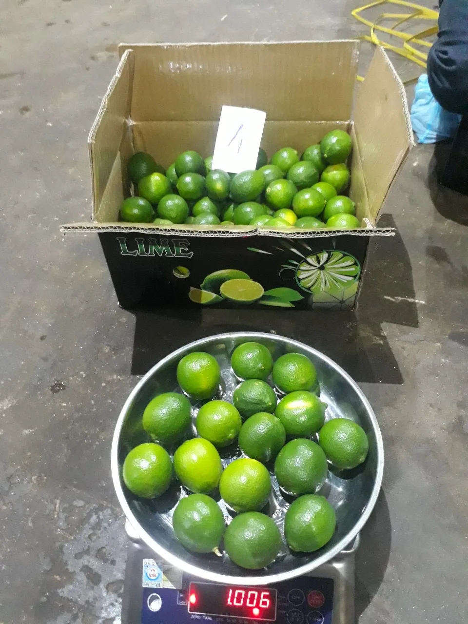Хорошее качество 2022 свежий без семян Лайма из Вьетнама зеленый кислый лайм натуральные свежие цитрусовые свежие-WS 0084 989 322