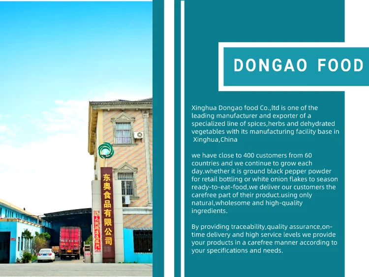 dongao2.png