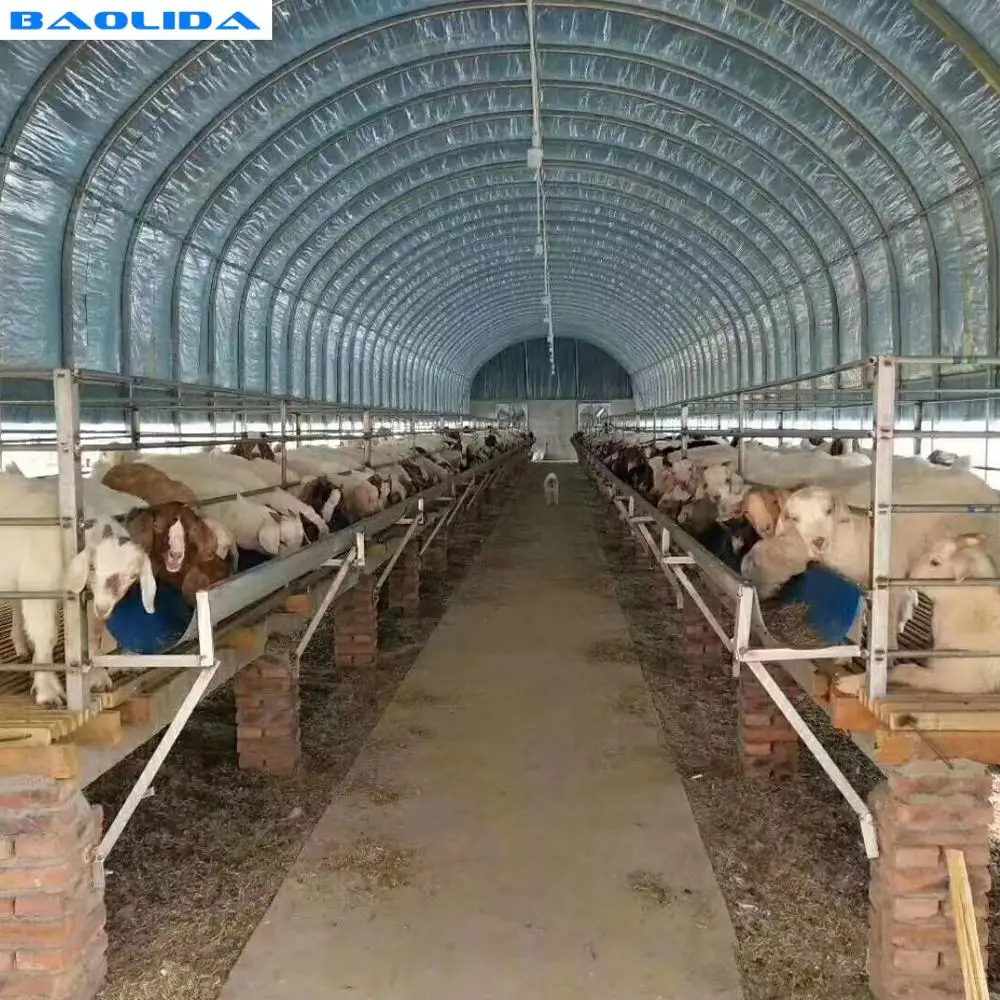 Poultry Farm Used Agricultural  Plastic  Greenhouse