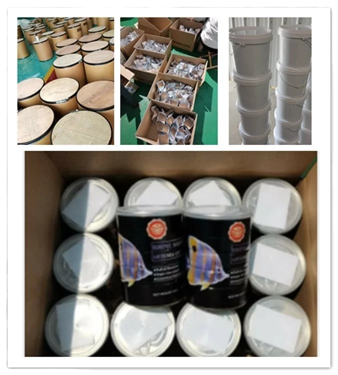 Hot Sale Decapsulated Artemia high Protein Fish Meal Ornamental guppy fish food Artemia Brine Shrimp Eggs