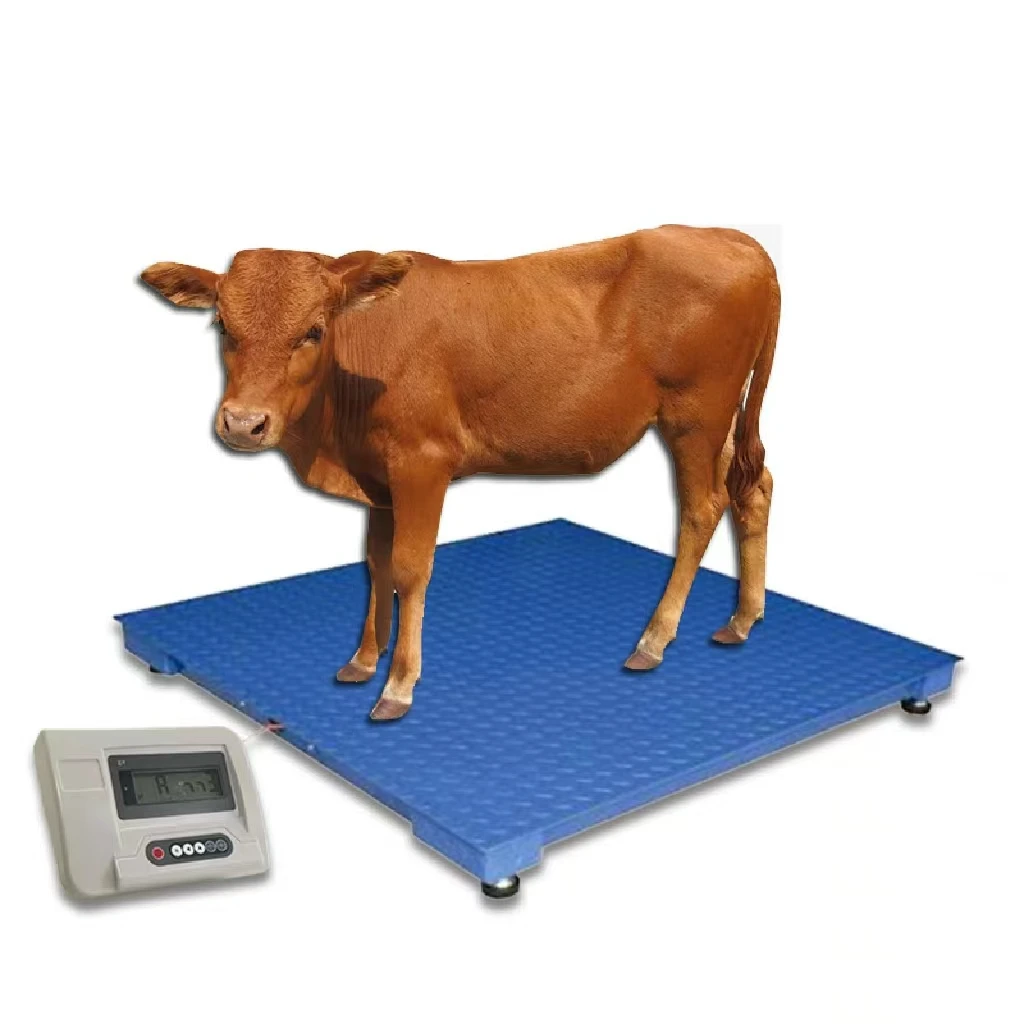 2000 lb 500kg 1000kg 2 Balance Livestock Scale Cattle Weighing Scale High Quality And Good Price Low Cost Animal Weight Scale