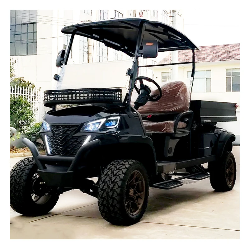 Curtis Controller & KDS Motor 2 seat street legal lithium battery golfcar utility Electric golf car Golf Cart with Cargo Box