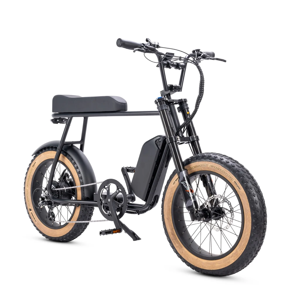 2024 Mario Retro Vintage 20-Inch Fat Tire 250 Watt City Road Electric Bicycle