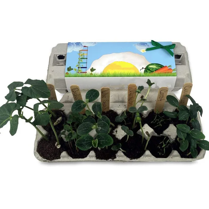 Garden Seed Growing Kit Biodegradable pot growing kit for children wholesale