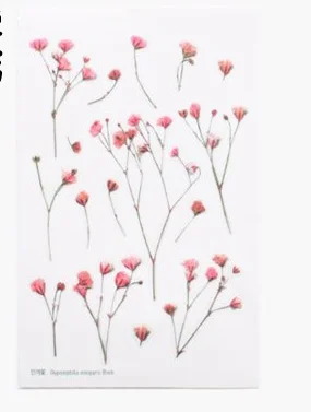 Korean stationery creative simulation flower transparent PVC sticker flower plant diary hand account decorative sticker
