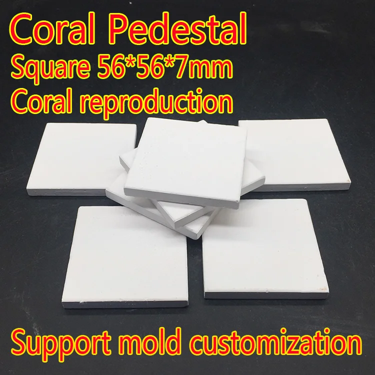 
Da Zhengfang Sea Coral Snippet Block Snippet Block Button Base Coral Base Breeding Stand Coral Tray Factory 