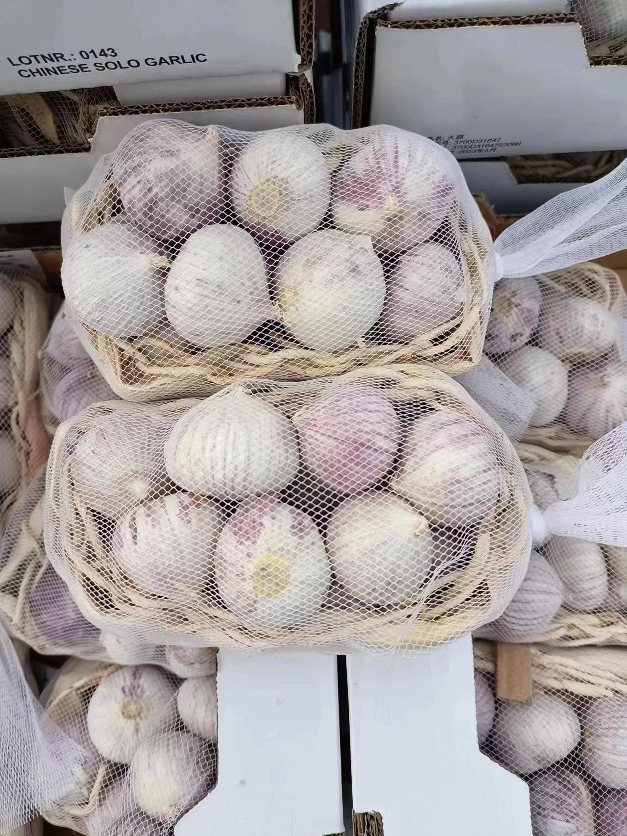 2023 new season SINOFARM brand Chinese fresh single clove garlic price for wholesale fresh solo garlic supplier from China