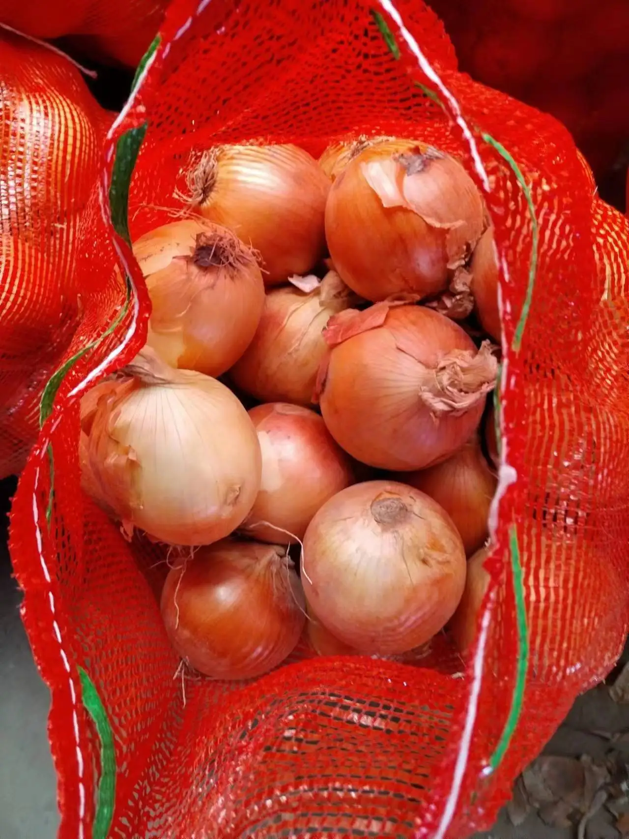 Buy Red Onion Chinese Fresh Yellow Onion Mesh Bag Price