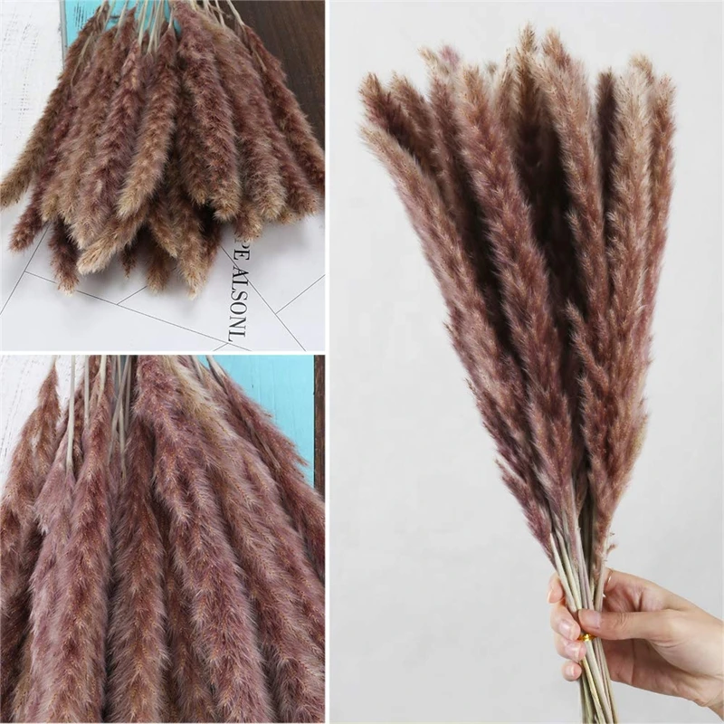 Dried Pampas Grass Decor Flowers Bouquet Pompass Grass Branches/ Pompous Grass For Flower Arrangements Wedding Home Decor
