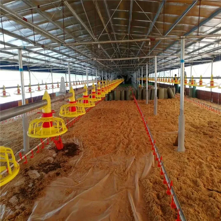 Feed system of chicken farm complete feed line water line chicken house pig farm automatic feeder feed line equipment