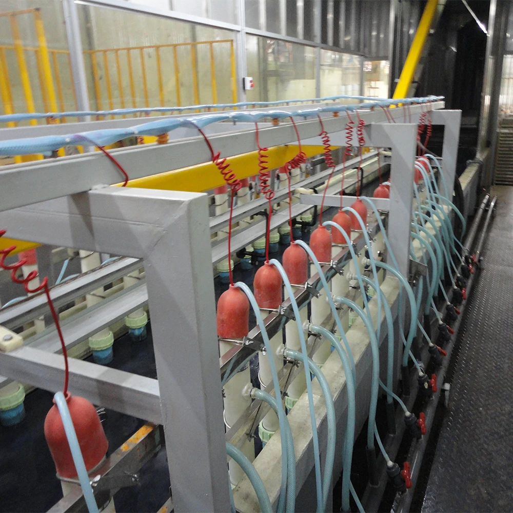 Cathodic Electrophoresis Painting Line Dip E-Coating Line with Long Service Life