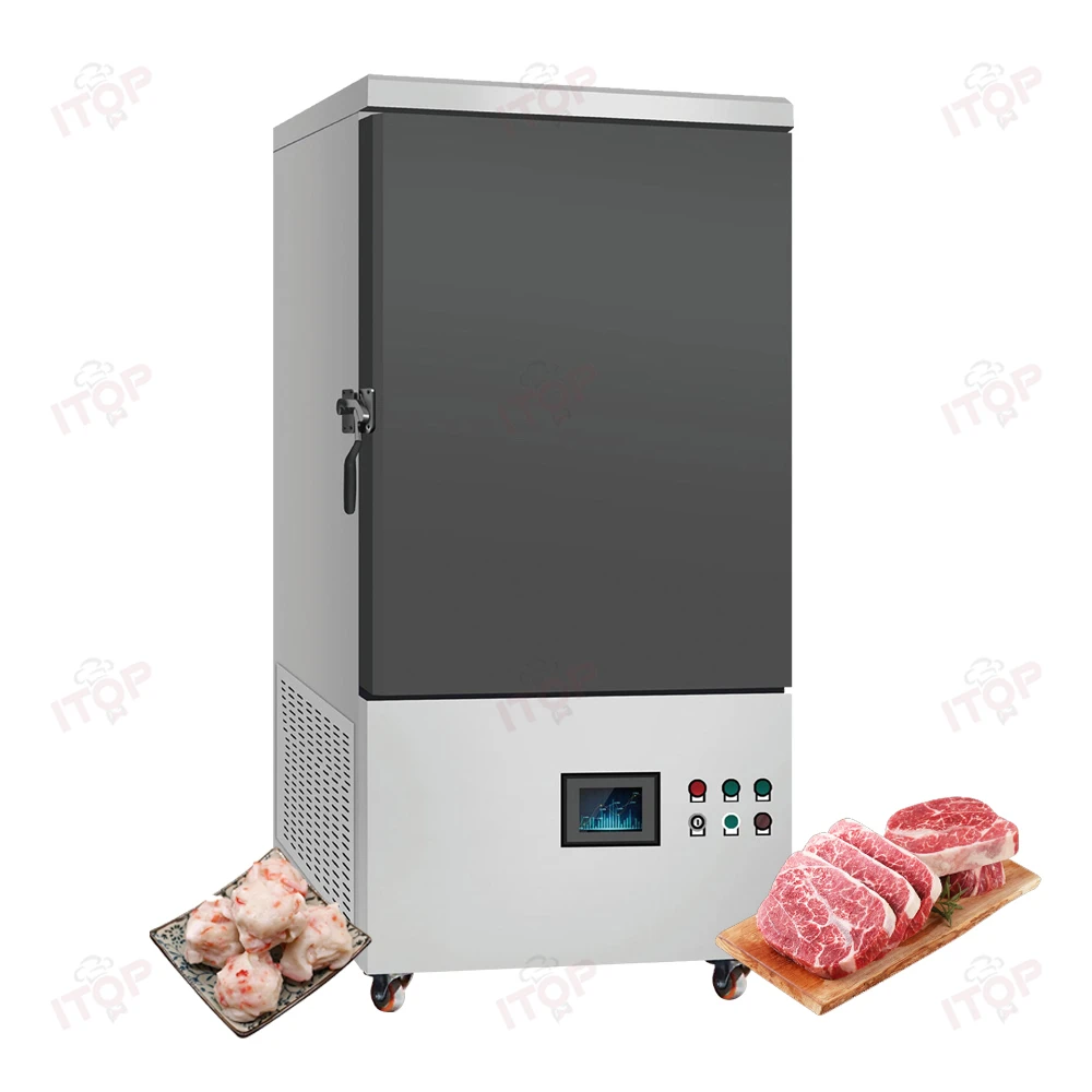 Food Processing Flash Quick Rapid High-speed Freezing Shock Freezers Blast Equipment Liquid Nitrogen Freezer