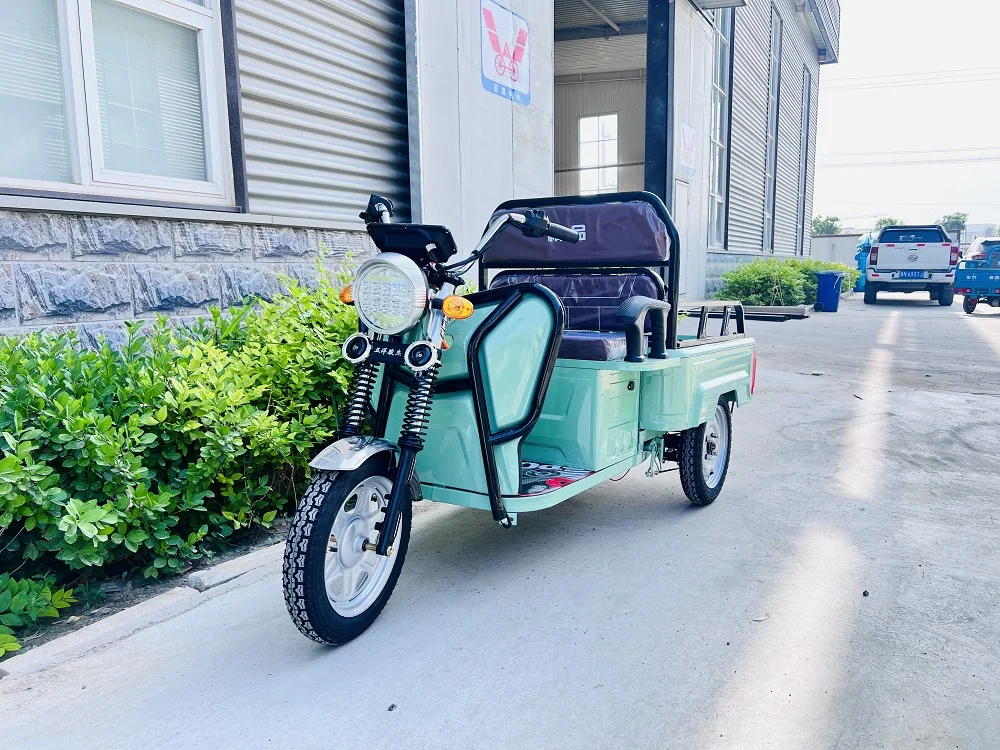 OEM 1000W/1500W грузовой Электрический трехколесный велосипед с заводской настраиваемой поддержкой от производителя