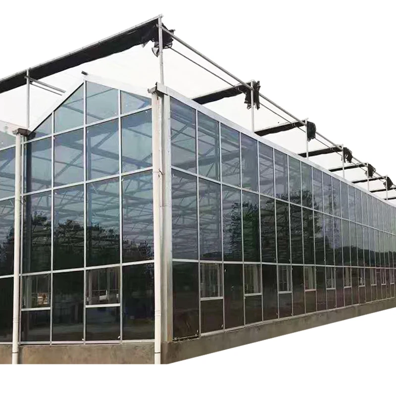 Hot sale Jianda greenhouse factory Agriculture low cost hydroponic plant smart greenhouse with hydroponic growing system SUNSGH Greenhouse china