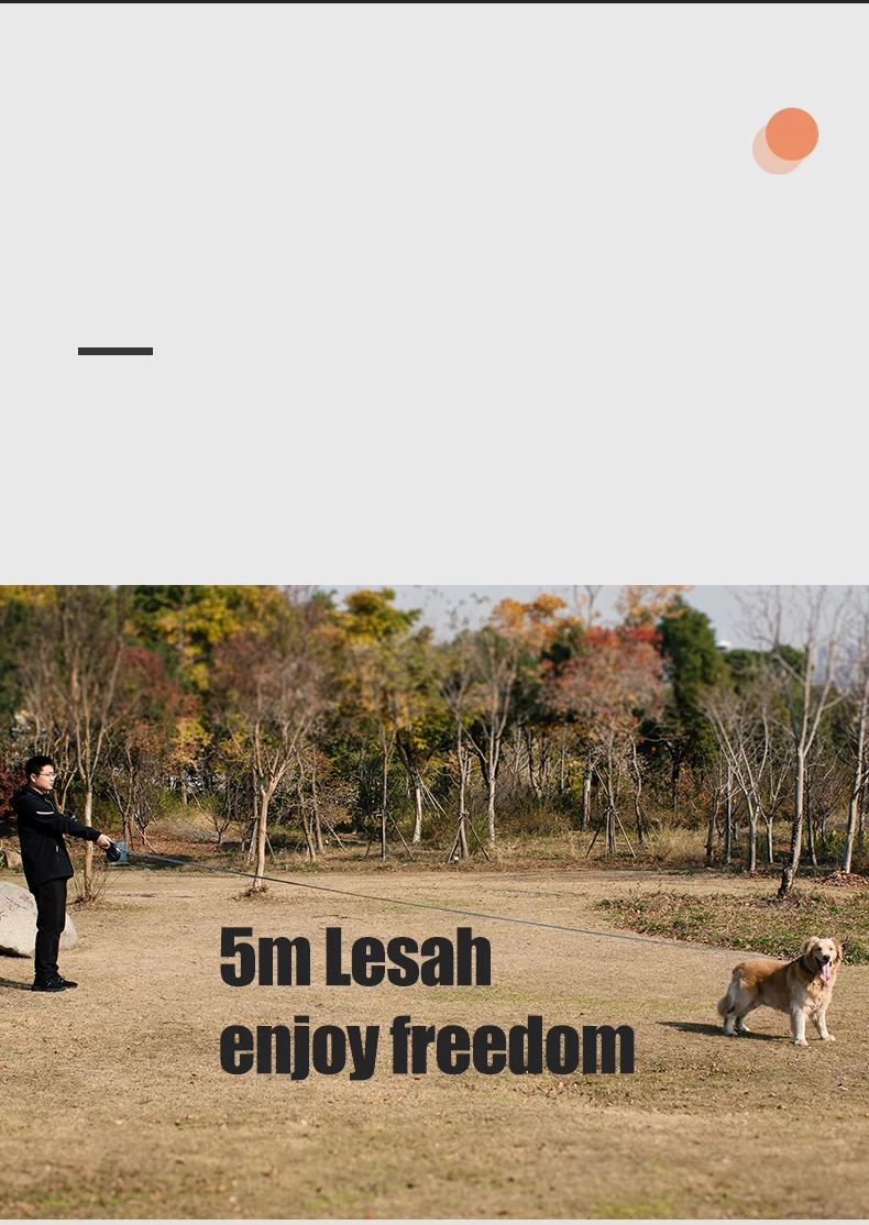 2023 New Patented AUTO BRAKE 5 Meter 30kg Reflective Belt Cerramic Entrance Dog Retractable Leash For Large Breed Dogs