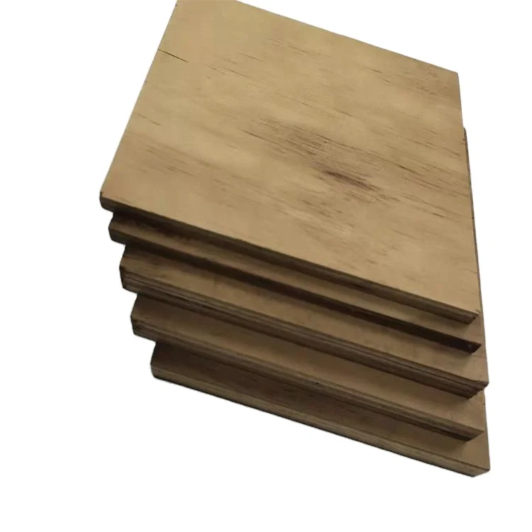 China Professional Manufacture Waterproof Door Construction Plywood 18mm