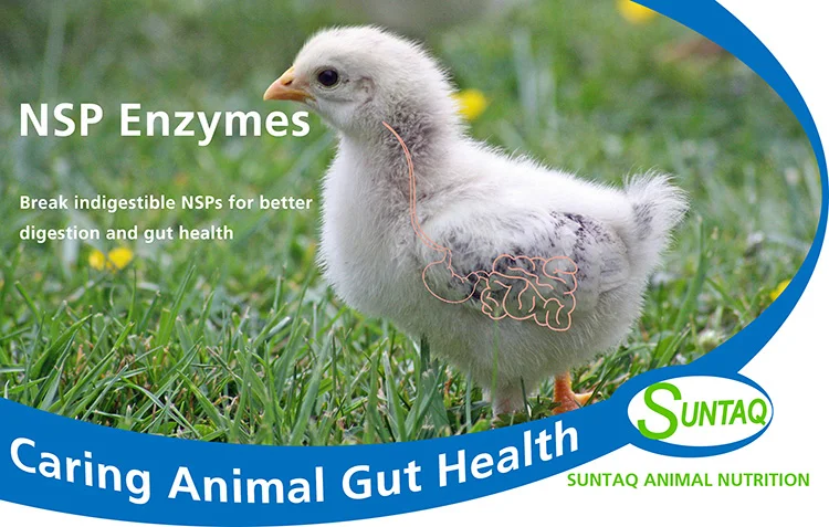 Manufacturer Feed Grade Additive Enzymes beta mannanase 5000 u/g active mannanase enzymes