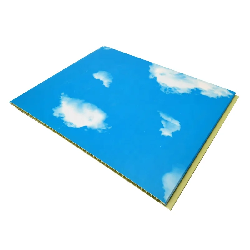 Sky Reasonable Pvc Hollow Plastic Panel Hotel Pvc 3d Wall Panel