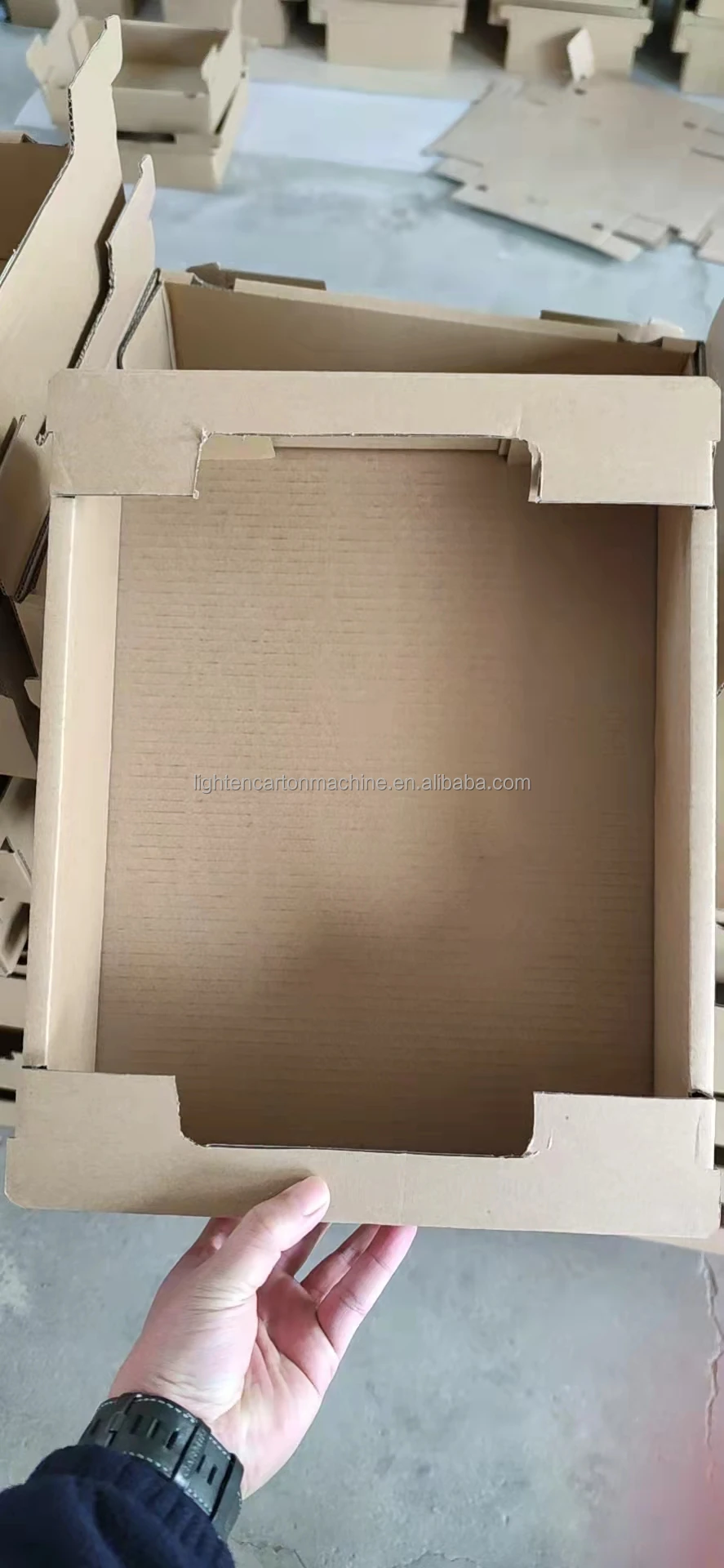 Automatic fruit box forming machine Platform / P 84 /Citrus / Open Column box hot melt gluing forming machine