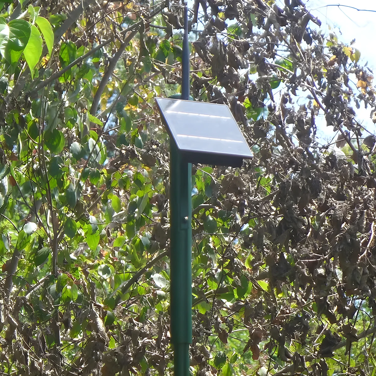 IoT Новый маломощный шлюз Lorawan Meshtastic сетевого узла Iot Solar Lora для передачи данных на открытом воздухе