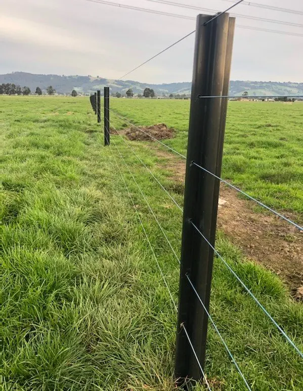 BOCN Direct factory 6 ft T_Fence_Post barbed wire Used Galvanized American Farm Steel Iron Green Metal T Post