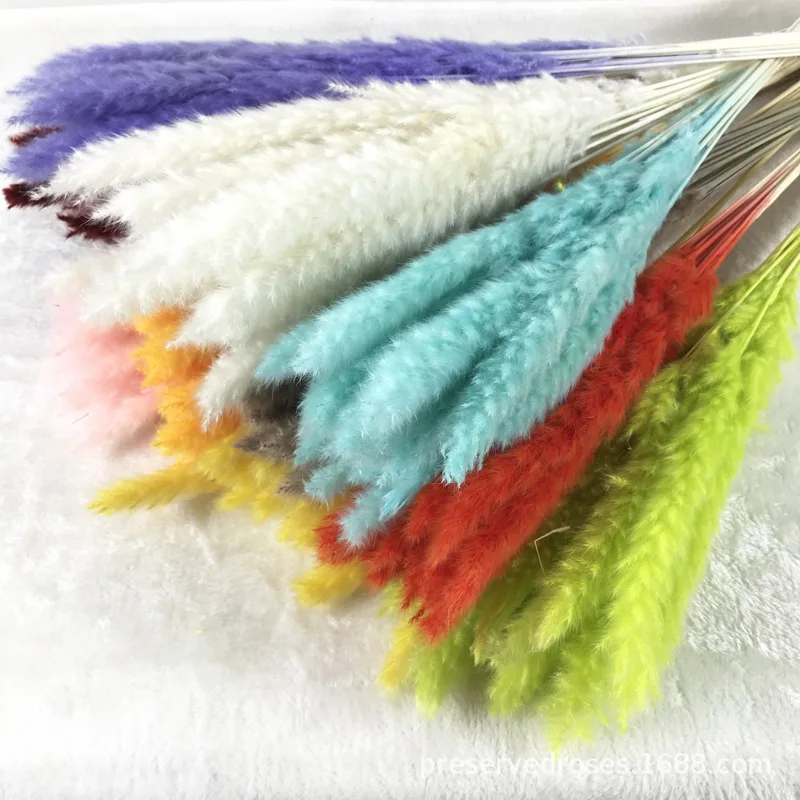 Wholesale Decorative Artificial Dried Real Natural Fluffy Feathers Secos De Pampass Bunch Flowers Small Pink White Pampas Grass